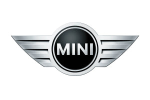 Mini Logo